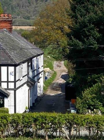 Conwy Valley Cottage Llanbedr-y-cennin Exterior foto